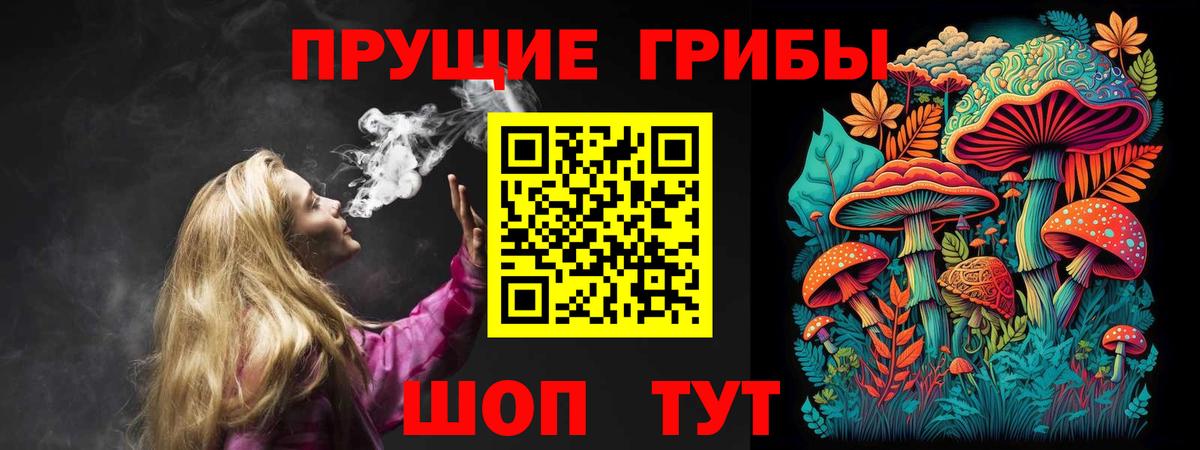 Галлюциногенные грибы MAGIC MUSHROOMS Звенигород