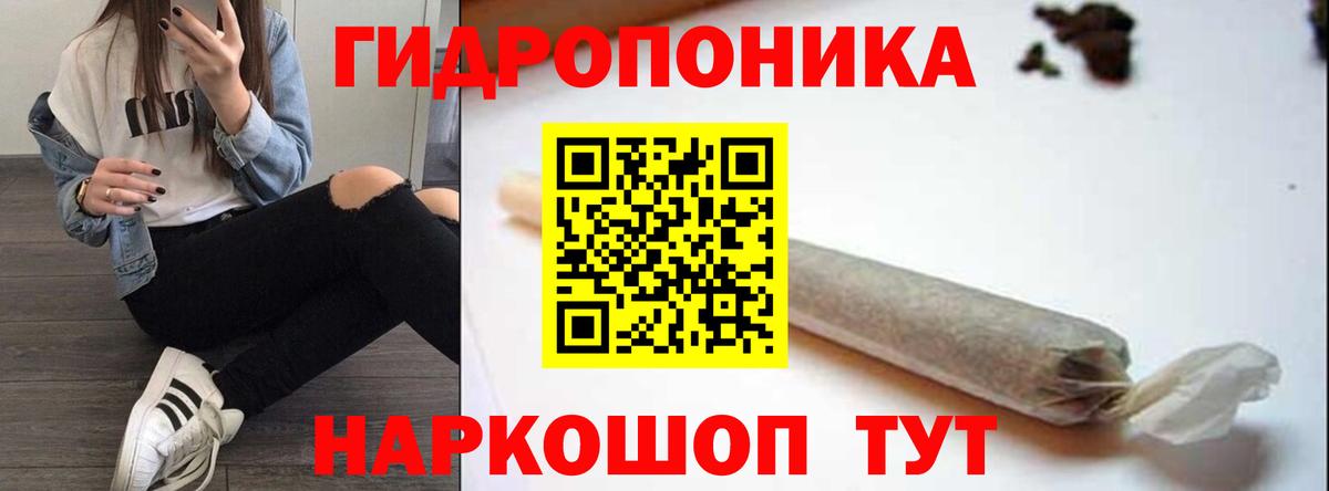 Шишки марихуана семена  Шишки марихуана Ganja  Канабис Bruce Banner  Вход с VPN  Конопля сатива  Звенигород 